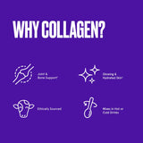 Bulletproof Chocolate Collagen Protein Powder with MCT Oil, 19g Protein, 42.3 Oz, Value Size, Collagen Peptides and Amino Acids for Healthy Skin, Bones and Joints