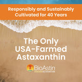 NUTREX HAWAII BioAstin Hawaiian Astaxanthin - 12mg, 90 Softgels - Farm-Direct Premium Antioxidant Supplement to Support Eye, Skin, Joint & Immune System Health - Non-GMO & Gluten-Free