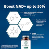 Qualia NAD+ | All-in-one nicotinamide riboside nr supplement for healthy aging | Can boost NAD+ levels up to 50% with: NR (nicotinamide riboside from NIAGEN),Niacin & Niacinamide - Vegan (56 Capsules)