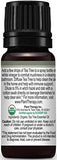 Plant Therapy Organic Tea Tree Oil (Melaleuca) 100% Pure, USDA Certified Organic, Undiluted, Natural Aromatherapy, Therapeutic Grade 10 mL (1/3 oz)