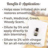 Plant Therapy Organic Tea Tree Oil (Melaleuca) 100% Pure, USDA Certified Organic, Undiluted, Natural Aromatherapy, Therapeutic Grade 10 mL (1/3 oz)