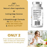 Mara Labs BerbElite | 350mg Berberine HCL & Broccoli Seed Complex for Increase Bioavailability | 30 Servings