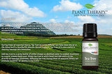 Plant Therapy Organic Tea Tree Oil (Melaleuca) 100% Pure, USDA Certified Organic, Undiluted, Natural Aromatherapy, Therapeutic Grade 10 mL (1/3 oz)