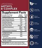 Quicksilver Scientific Liposomal Methyl B-Complex - Methylated B-Complex Liquid Vitamins - Milk Thistle, Folate + Methylcobalamin - Detox, Immune, Mood, Liver + Energy Support - Vegan (1.7oz / 50ml)