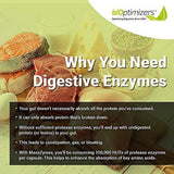 MassZymes - Digestive Enzyme Supplement - with Proteolytic Enzymes - Provides Bloating, Constipation, and Gas Relief - Contains Lipase, Amylase, and Bromelain (250 Capsules)